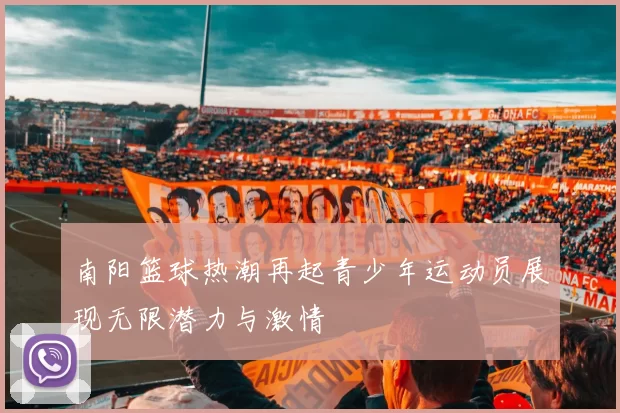 南阳篮球热潮再起青少年运动员展现无限潜力与激情