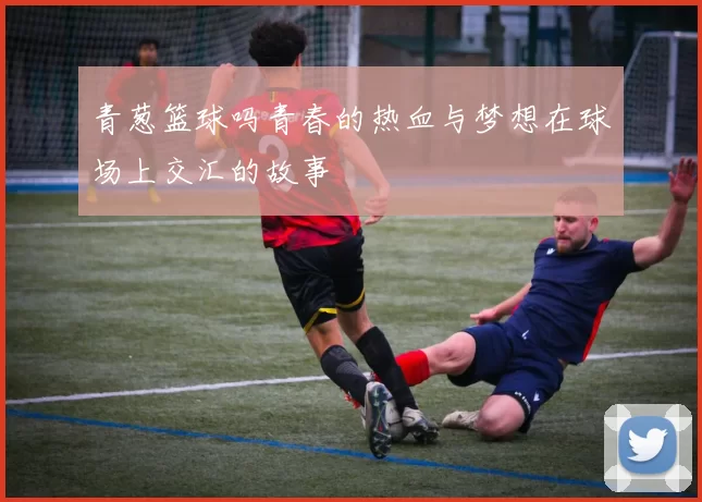 青葱篮球吗青春的热血与梦想在球场上交汇的故事
