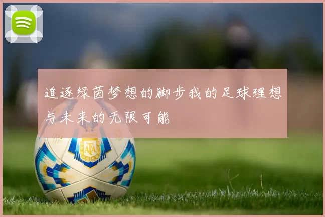 追逐绿茵梦想的脚步我的足球理想与未来的无限可能