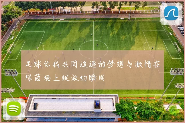 足球你我共同追逐的梦想与激情在绿茵场上绽放的瞬间